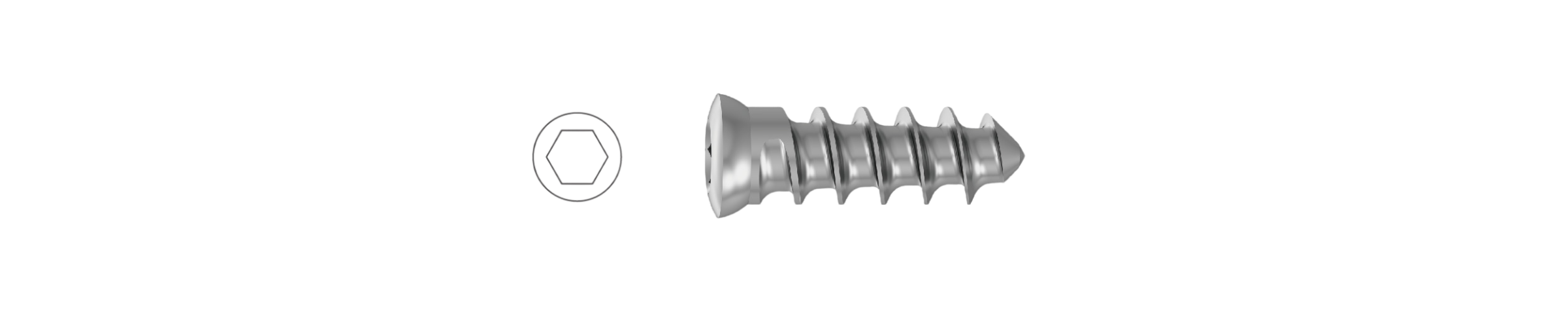 Fixed Screw